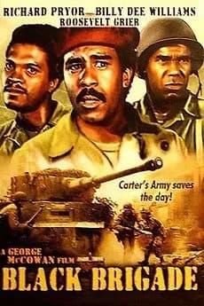 The Black Brigade 1970  