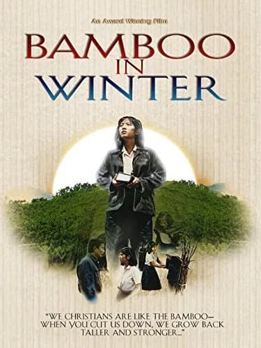 Bamboo In Winter 